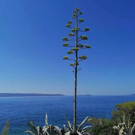 Okrug Gornji 32 Apartment Trogir